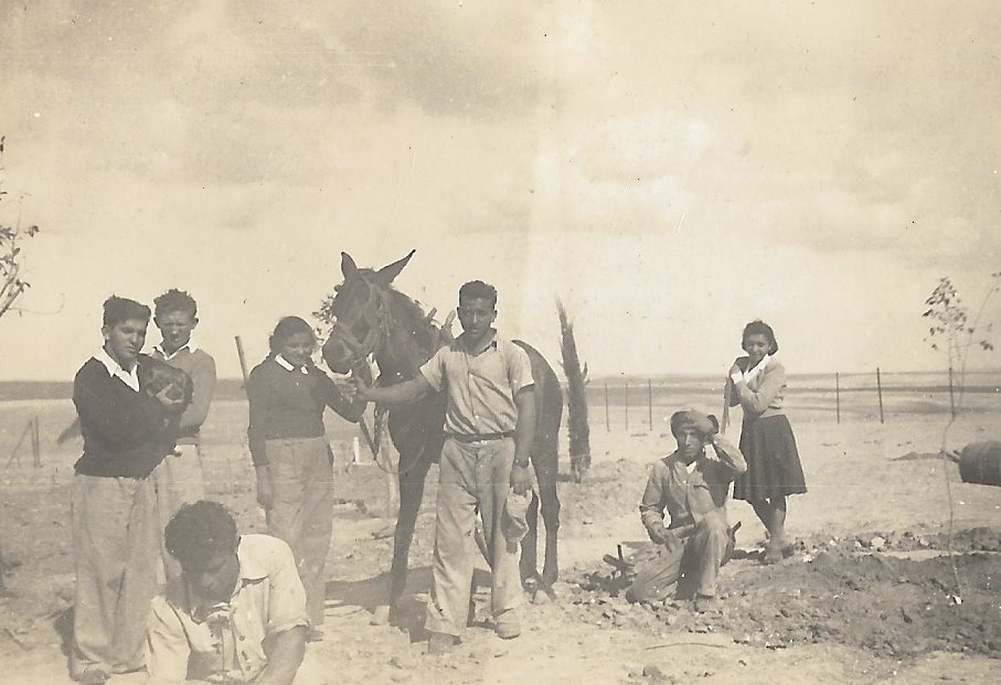 חצרים בתחילת הדרך: סבתא הלה ראשונה מימין. קרדיט - פרטי