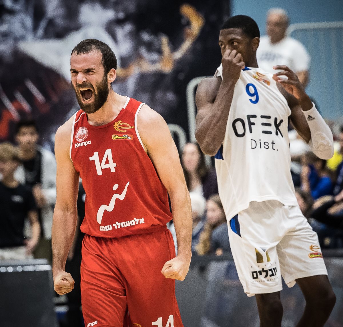 צילום: עודד קרני