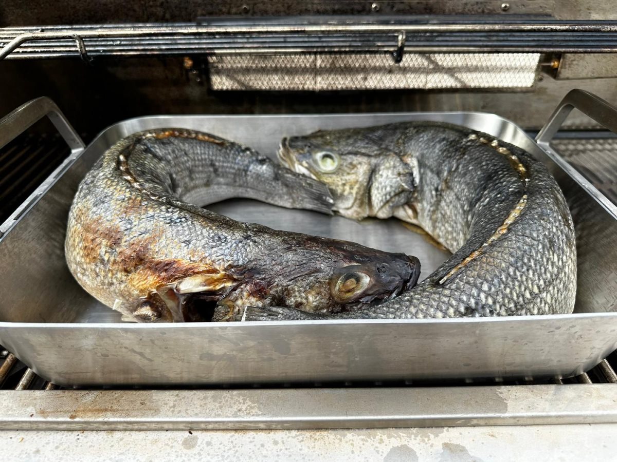 צילום: פרטי