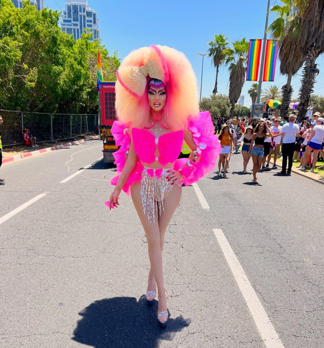 צילום: מרטין סול