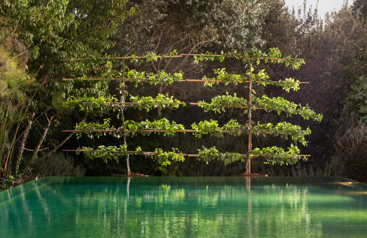 צילום: רגב כלף