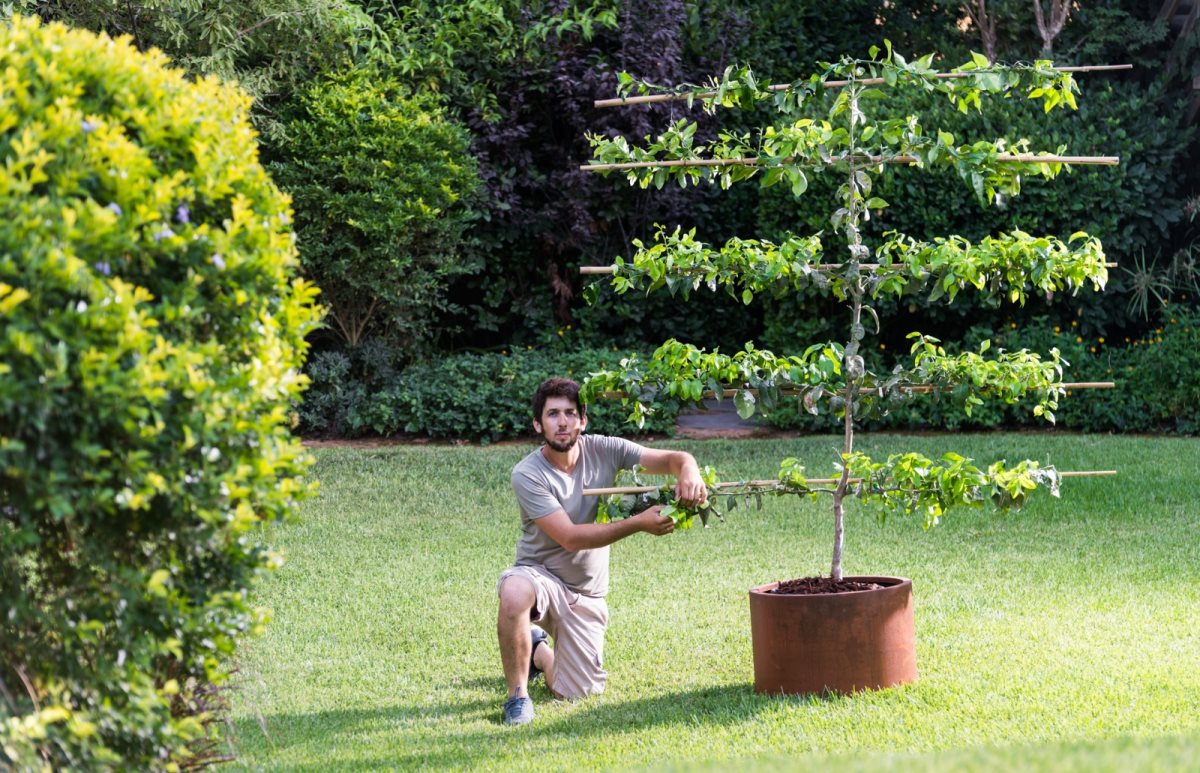 עידו בשן, אגרו-גרדן. צילום: רגב כלף