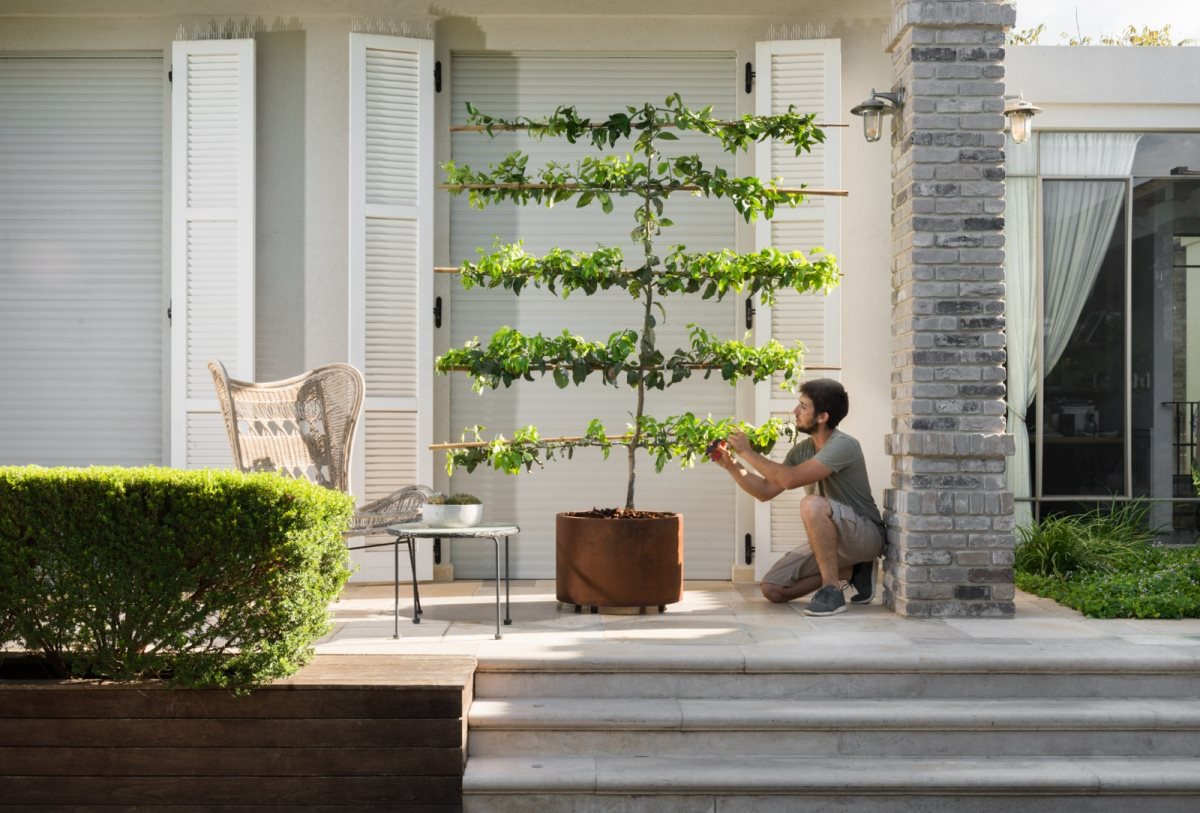 עידו בשן, אגרו-גרדן. צילום: רגב כלף