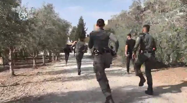 קרדיט - דוברות מרחב נגב