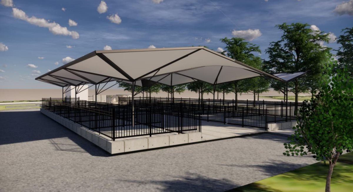 הדמיית השוק. קרדיט - פישר אלחנני אדריכלים