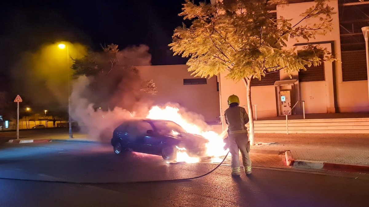 קרדיט - זאב דיקמן