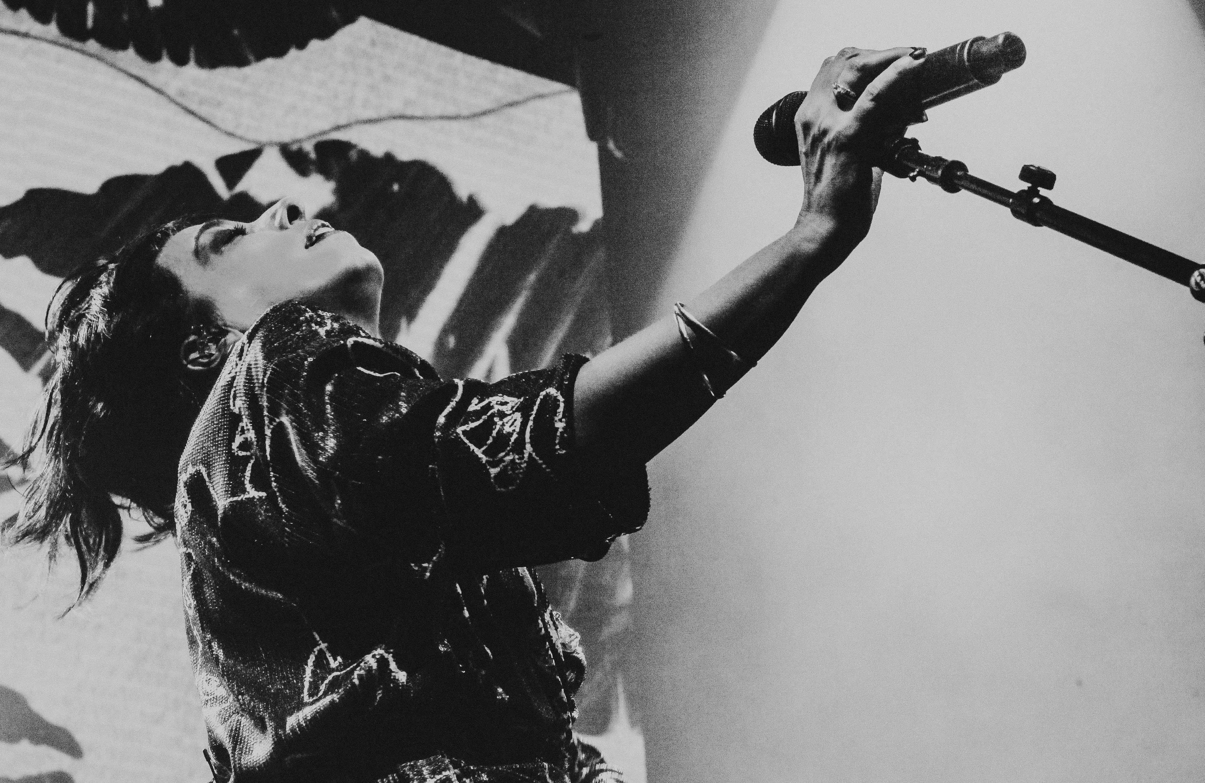 דיקלה. קרדיט - תמר חנן