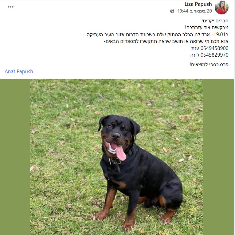 הודעה שפורסמה בעקבות היעלמותו של קספר. קרדיט - תוכן גולשים (ע"פ סעיף 27א')