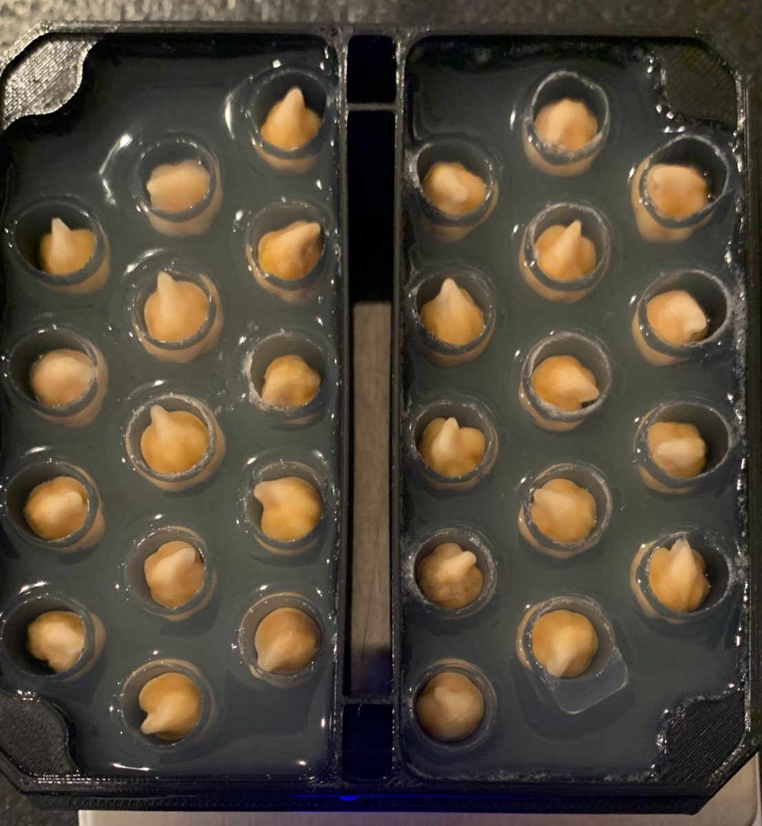 קרדיט - מעבדות אביב