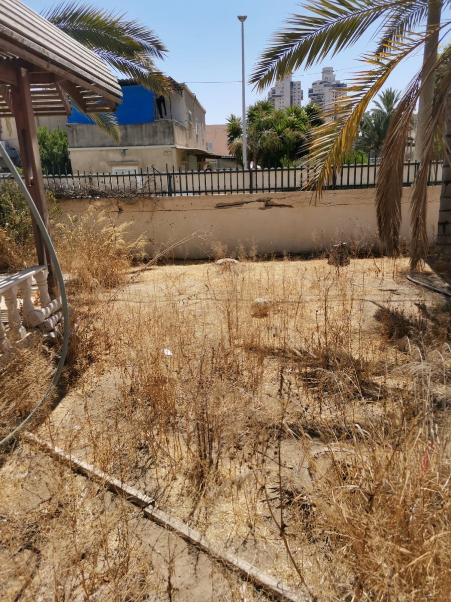 רחוב בורכוב. קרדיט - אורי אוחיון