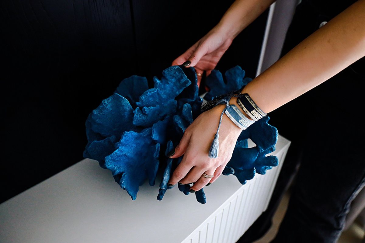 קרדיט - דניאל שלזניגר