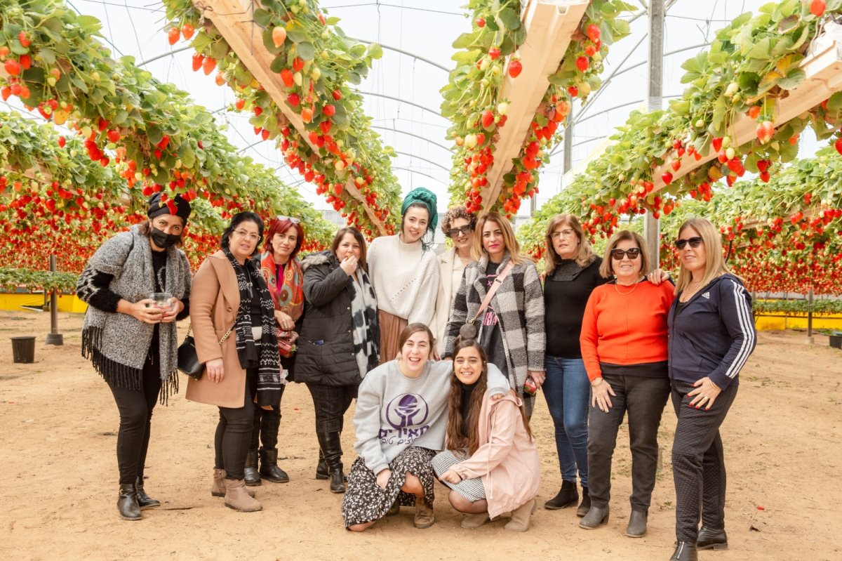קרדיט- חוי כהן