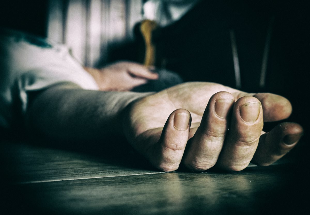 קרדיט - shutterstock