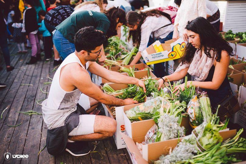 קרדיט - צוות סל"ק