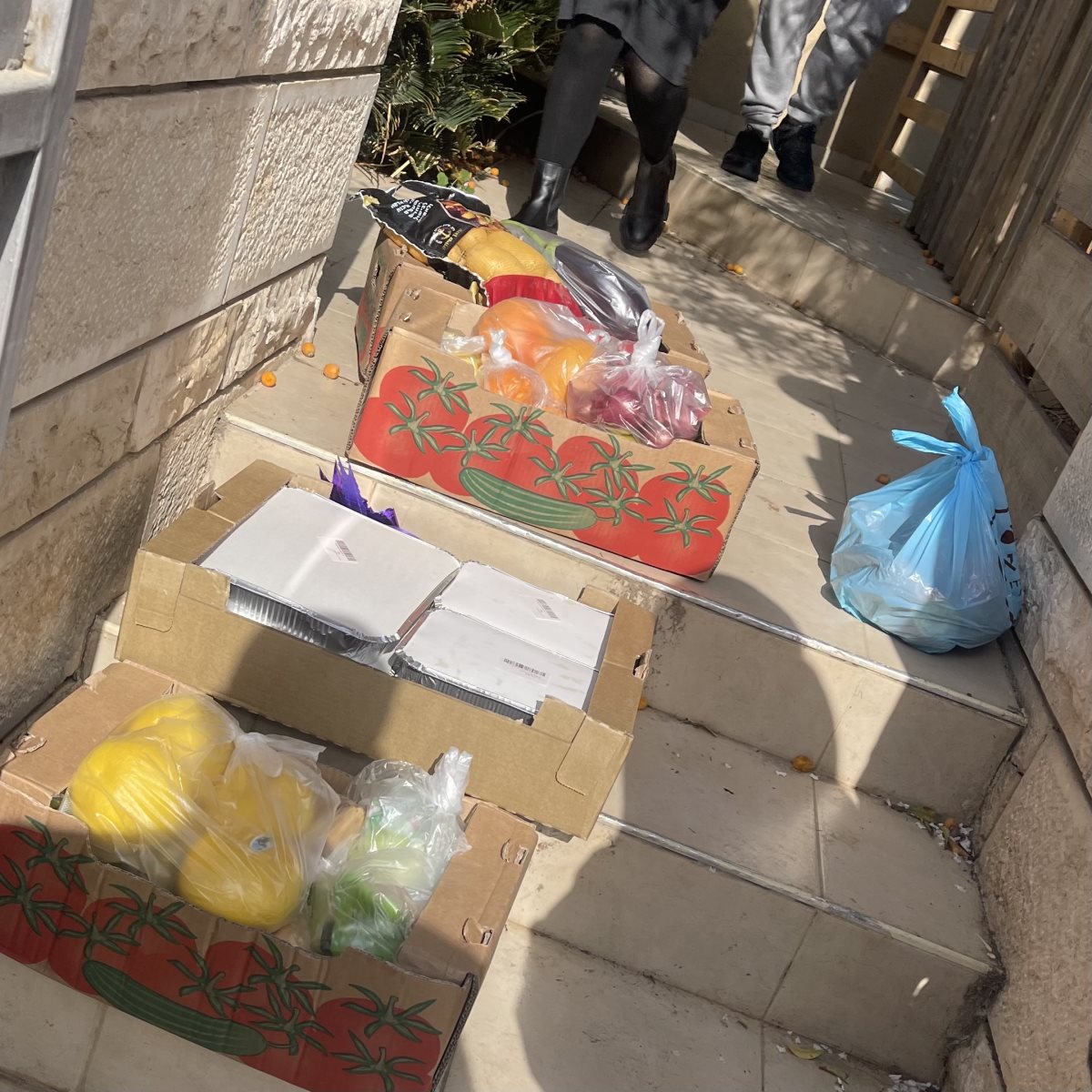 צילום: פרטי