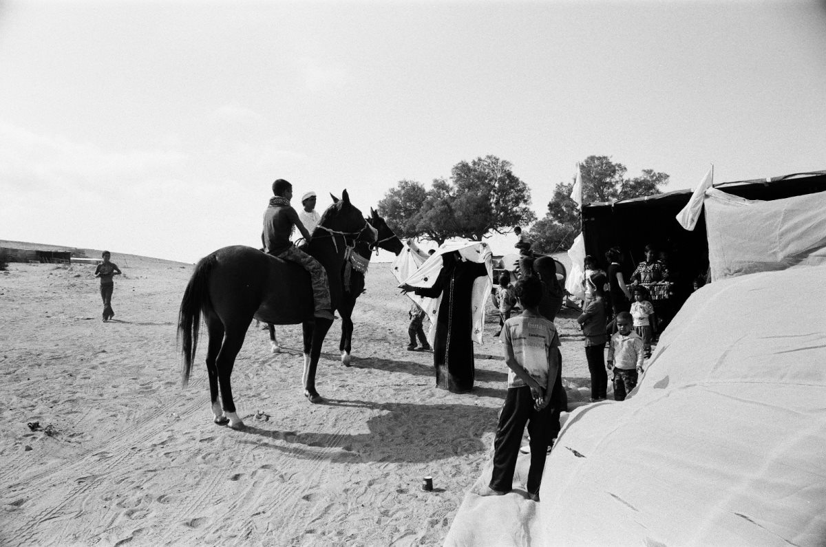 קרדיט צילום: אוריאל גור דוד