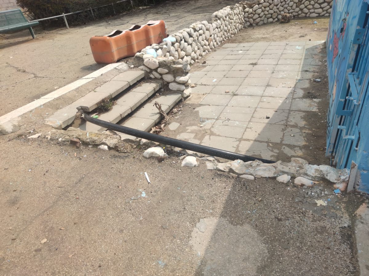 צילום: סתיו ליבנה