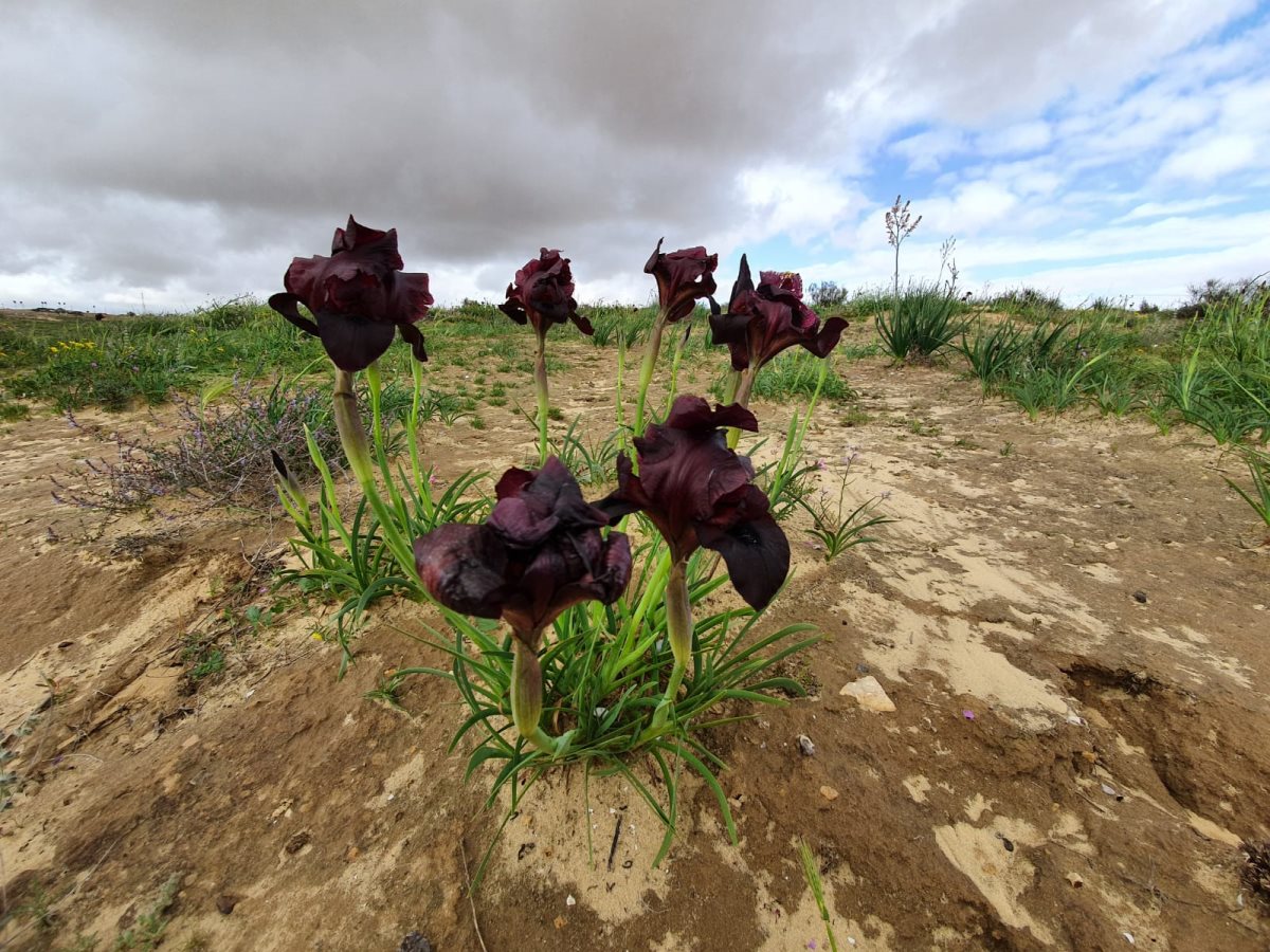צילום: ערן היימס, רטג