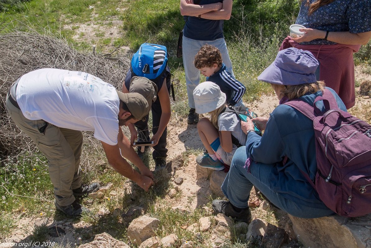צילום:דורון אורגיל