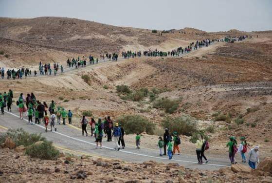 צילום: עיריית ערד
