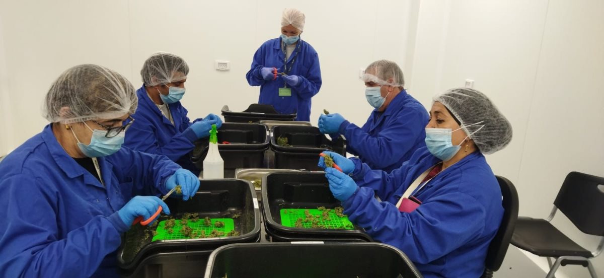 העובדים בחוות עמית. קרדיט - יח"צ