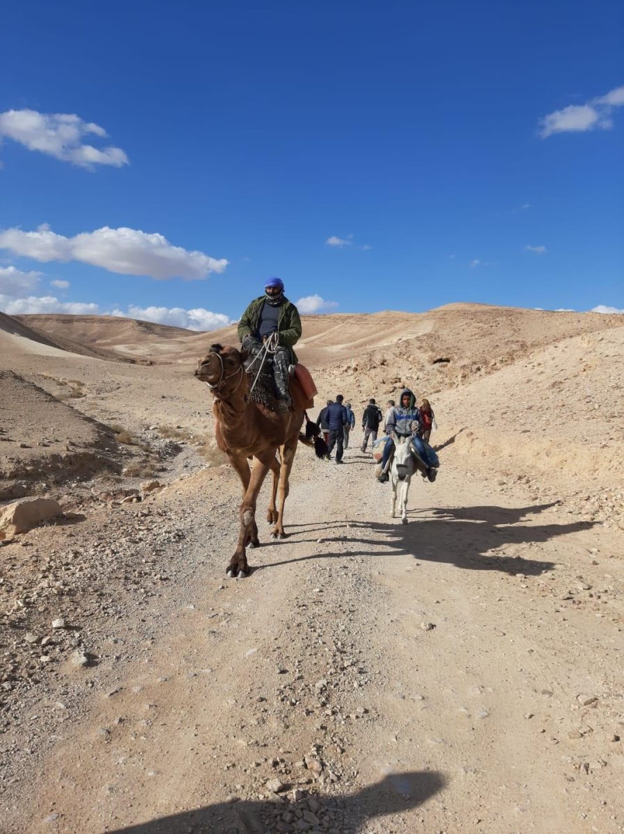 צילום: בר ירושלמי