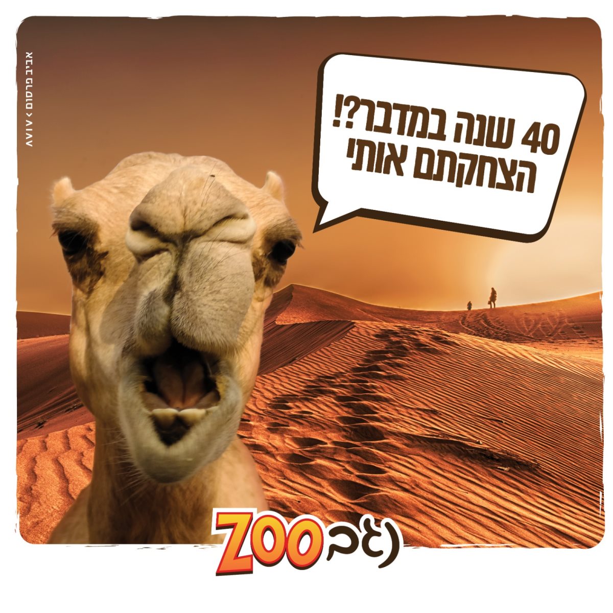 קרדיט נגב zoo