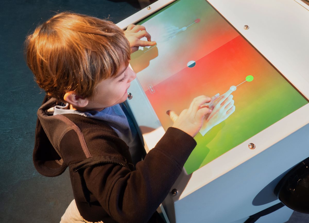 קרדיט איגור סטדניק