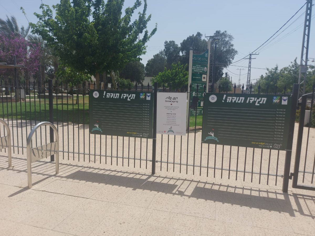 קרדיט - תמרה כהן