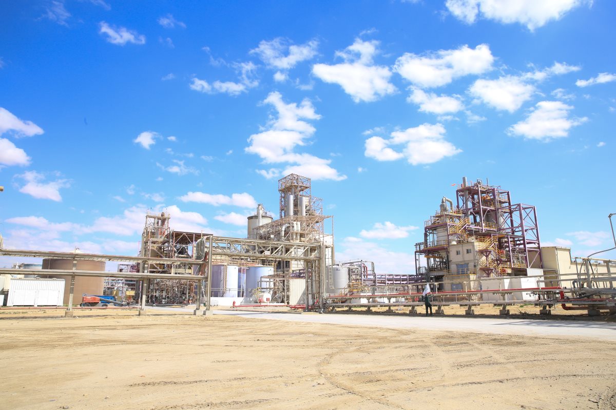 קרדיט - קבוצת חיפה