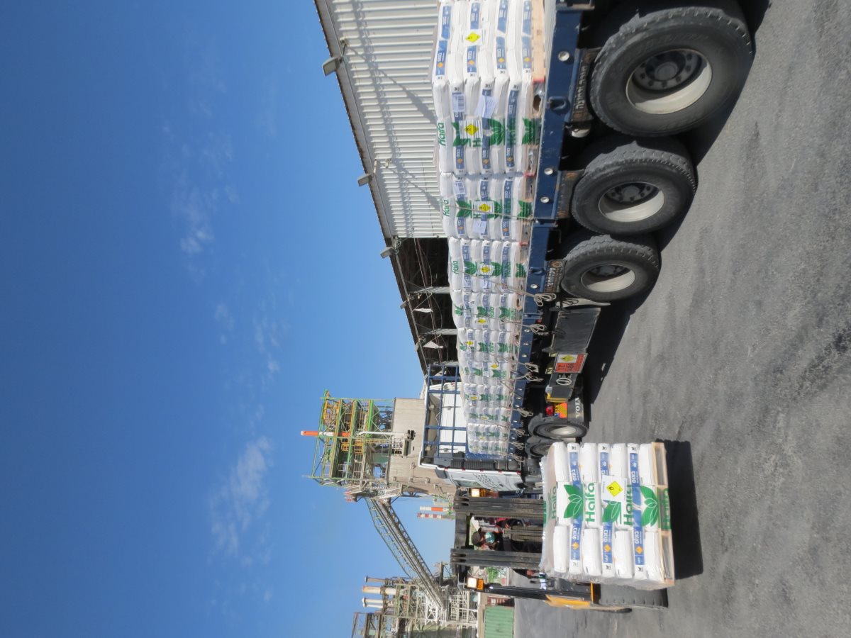 קרדיט - קבוצת חיפה