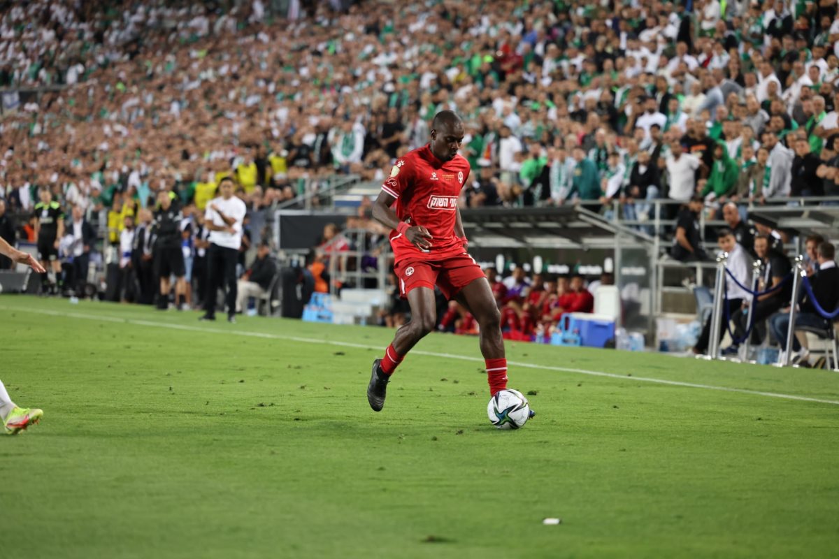 אספרייה. קרדיט - זאב דיקמן