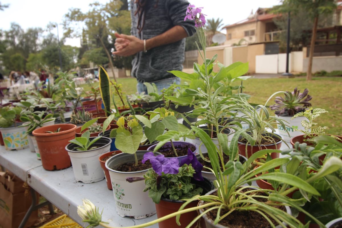 באדיבות משתלת ימתי