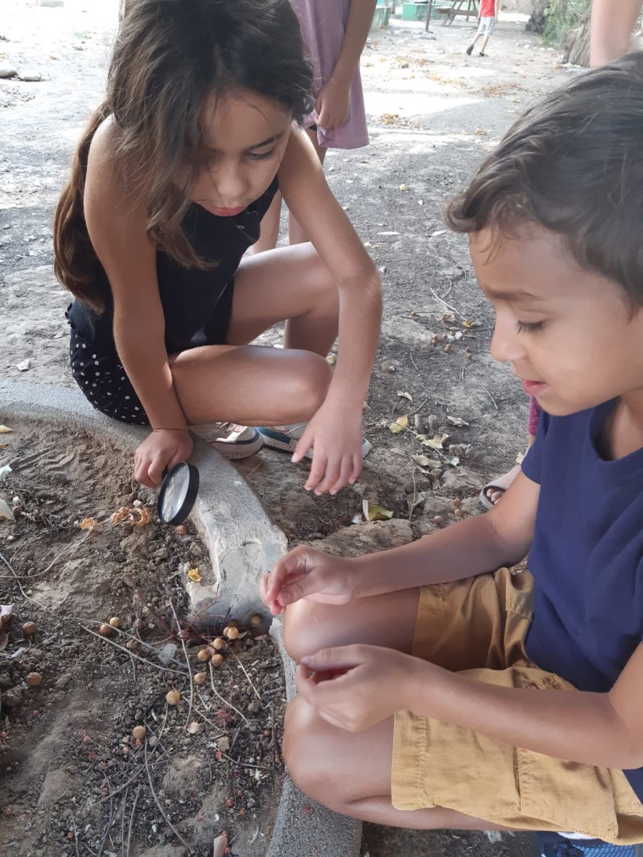  קרדיט צילום: צוות המסלול הדמוקרטי
