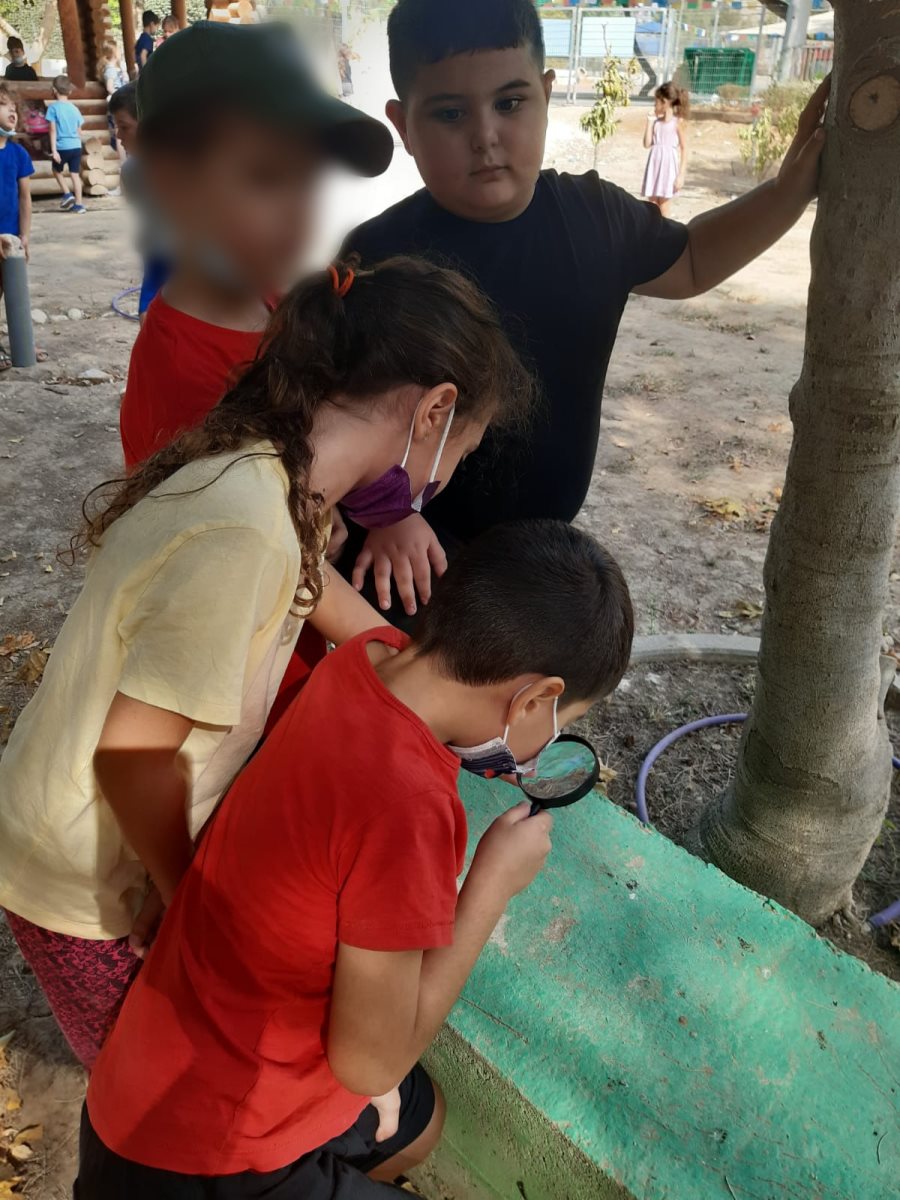  קרדיט צילום: צוות המסלול הדמוקרטי