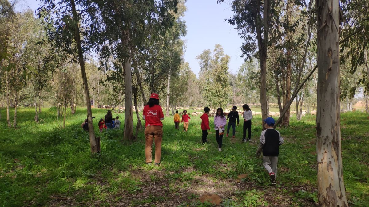  קרדיט צילום: צוות המסלול הדמוקרטי