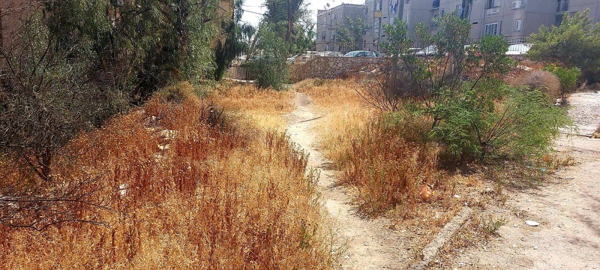 רחוב מצדה. קרדיט - ליזה שבטאי 