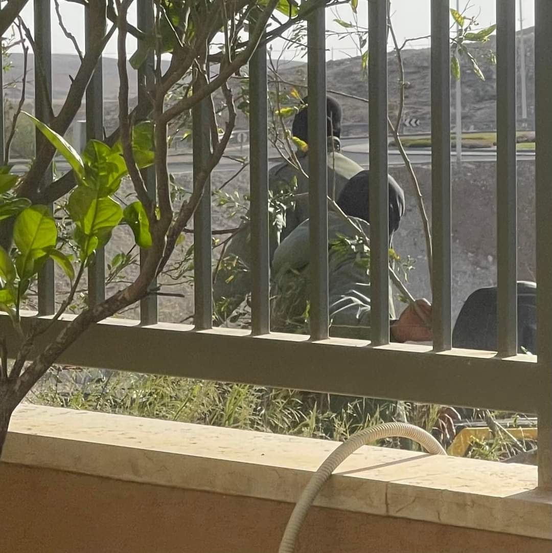 שני רעולי הפנים מאחורי ביתה של הדר. קרדיט - צילום פרטי