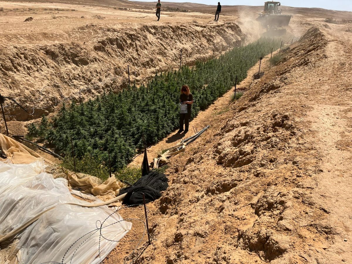 השדה שנחשף. קרדיט - דוברות מרחב נגב