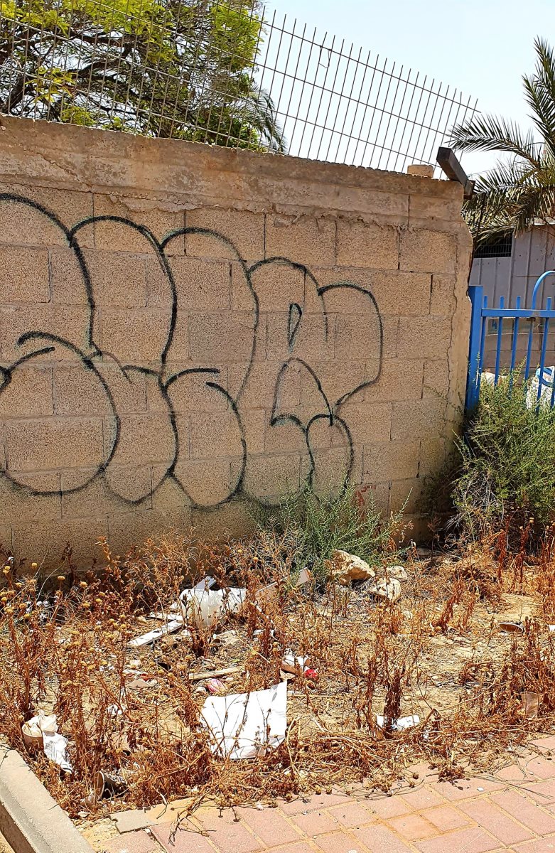 קרדיט - ליזה שבטאי