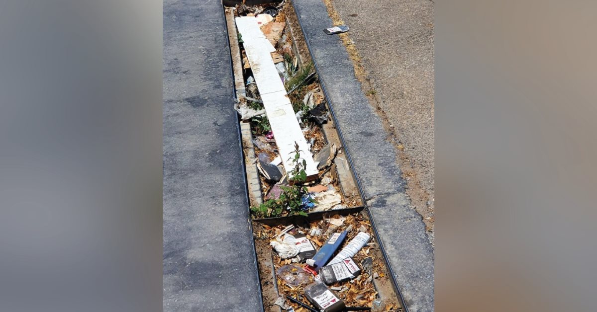 קרדיט - ליזה שבתאי