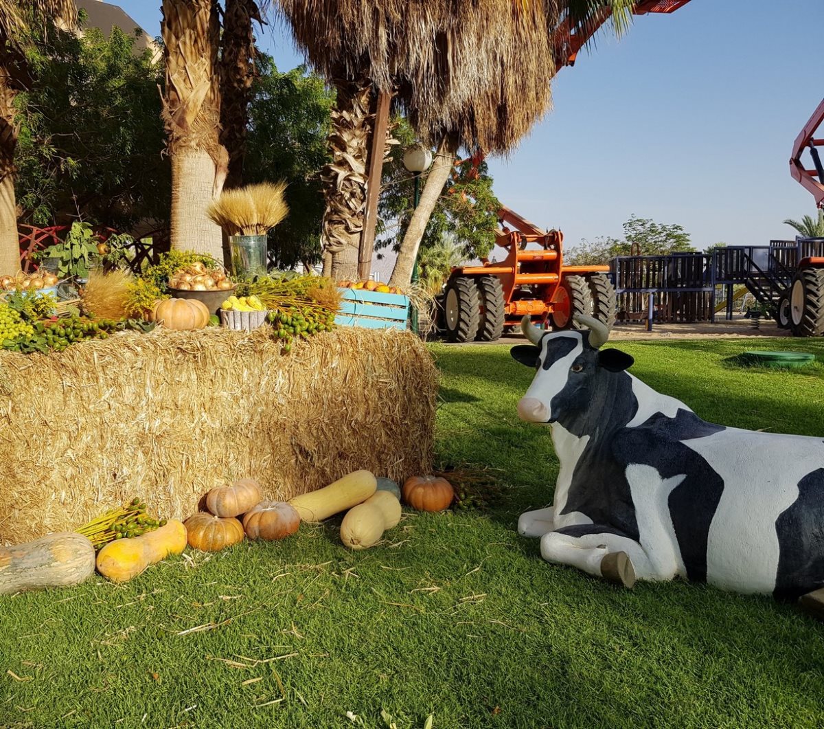 צילום: ליטל שמואלי