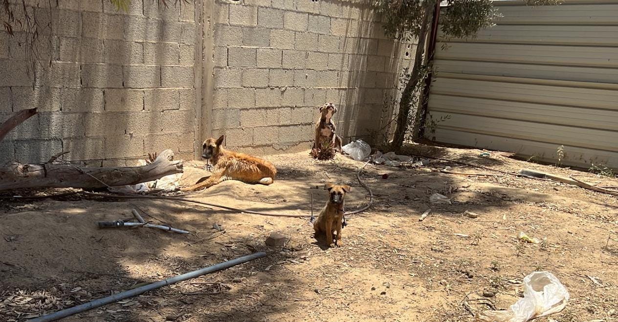 קרדיט - דוברות מרחב נגב