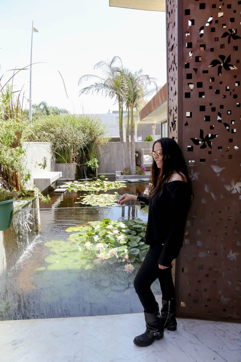 צילום: פרטי