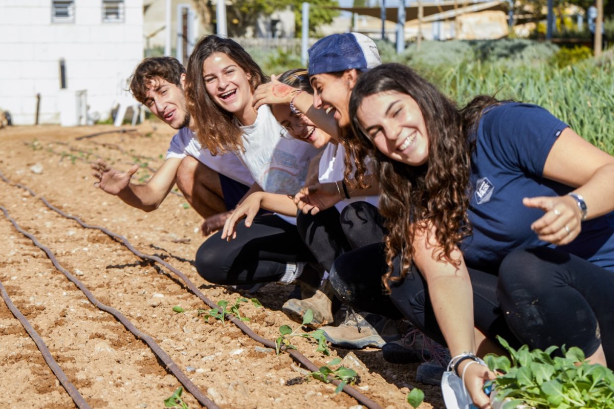 קרדיט - יהורם אשהיים