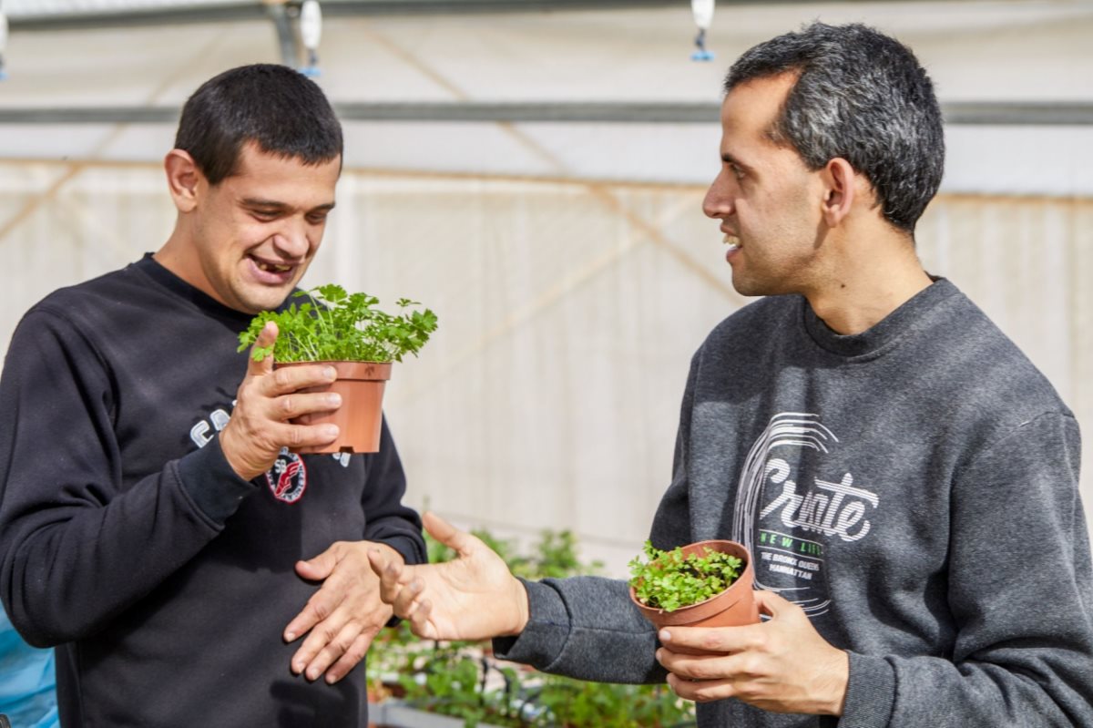 קרדיט - יהורם אשהיים