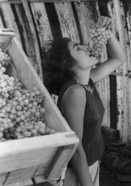 קרדיט: גליל רענן