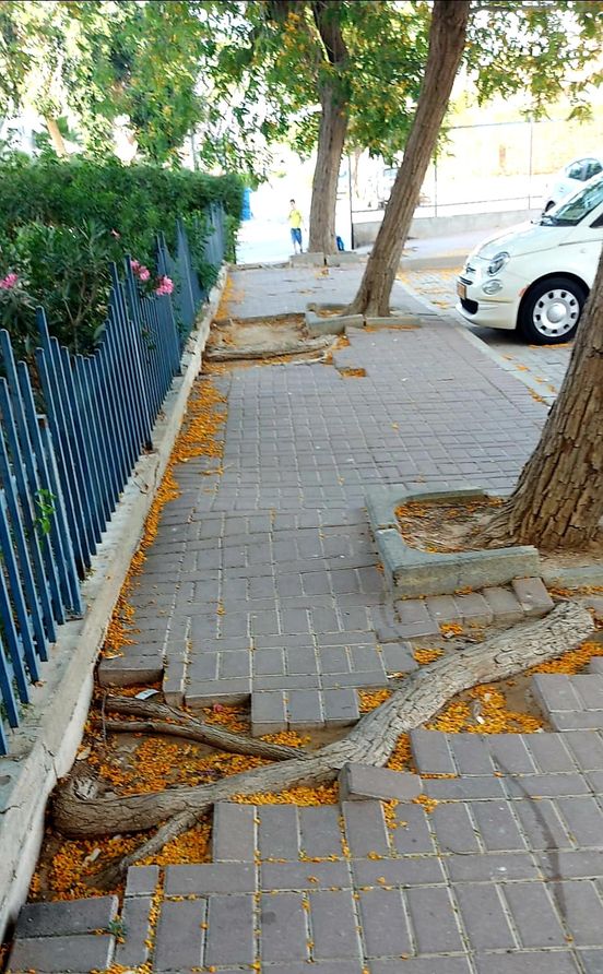 קרדיט - ליזה שבתאי