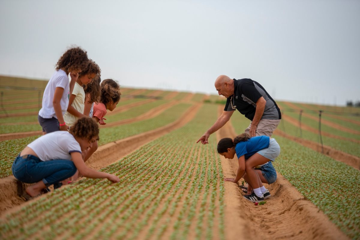 פסטיבל "אשכול מקומי" 