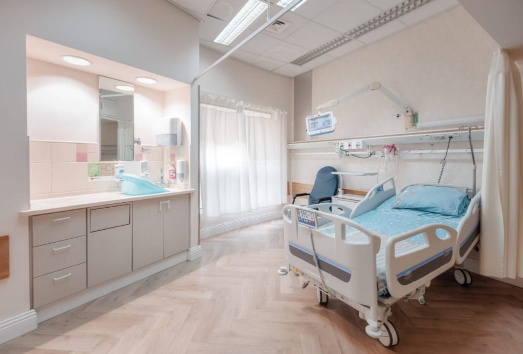 קרדיט - רחל דוד